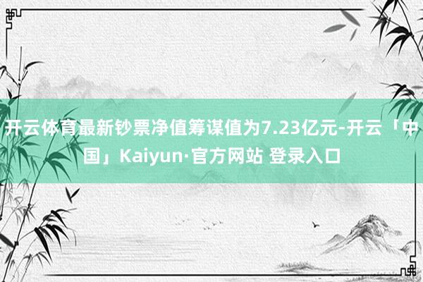 开云体育最新钞票净值筹谋值为7.23亿元-开云「中国」Kaiyun·官方网站 登录入口