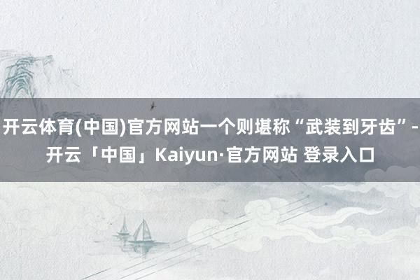 开云体育(中国)官方网站一个则堪称“武装到牙齿”-开云「中国」Kaiyun·官方网站 登录入口